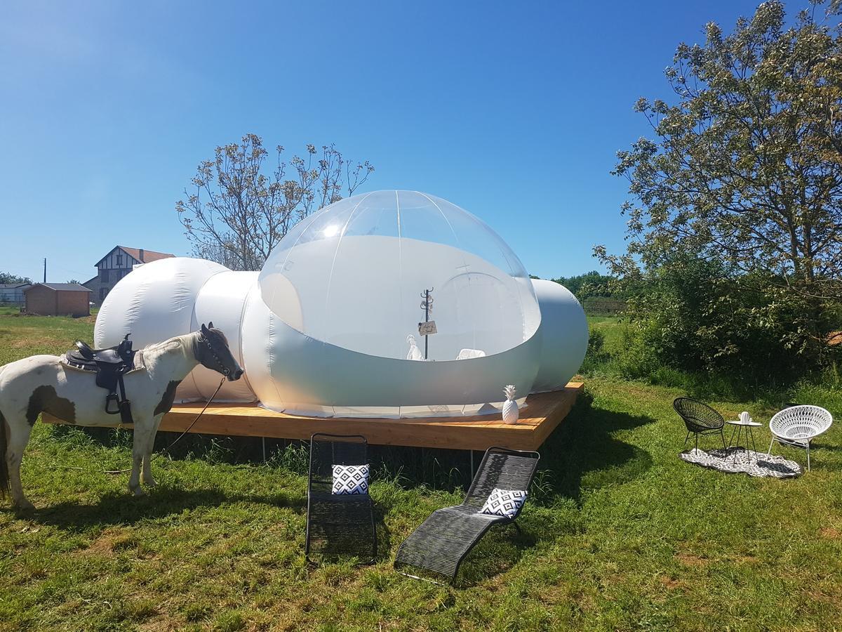 Coachella Vendégház Lanouaille Kültér fotó