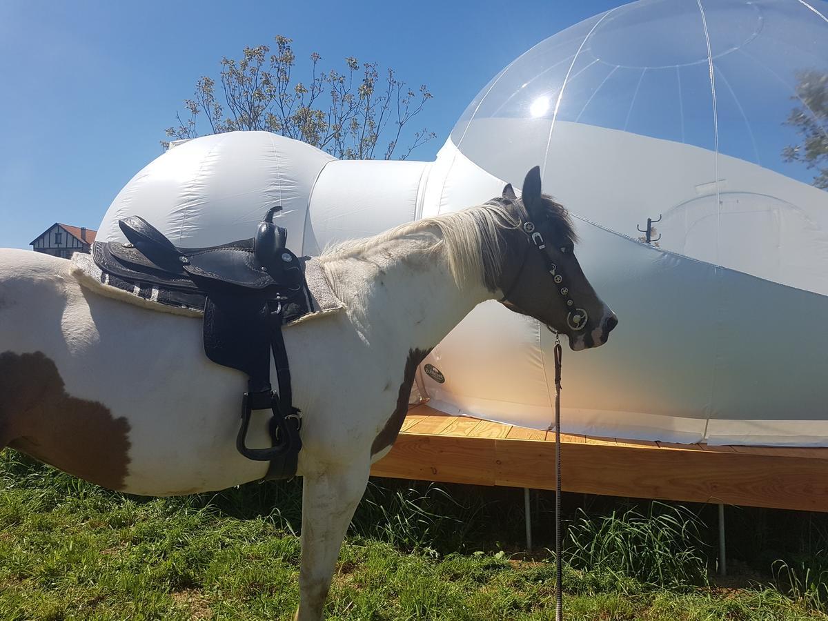 Coachella Vendégház Lanouaille Kültér fotó